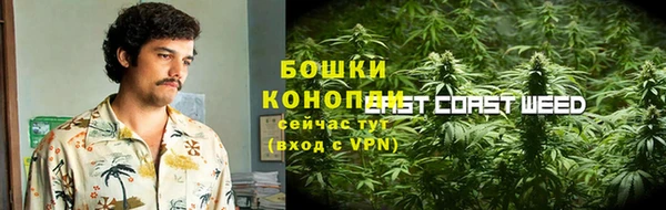 твердый Арсеньев