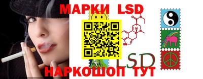 spice Кандалакша