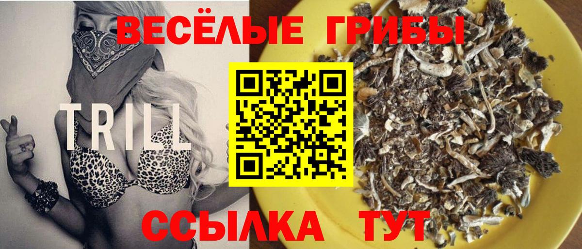 Псилоцибиновые грибы MAGIC MUSHROOMS  сколько стоит  Вход с VPN  Нововоронеж  Галлюциногенные грибы Magic Shrooms 