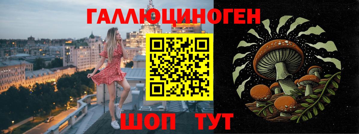 Псилоцибиновые грибы GOLDEN TEACHER Нововоронеж